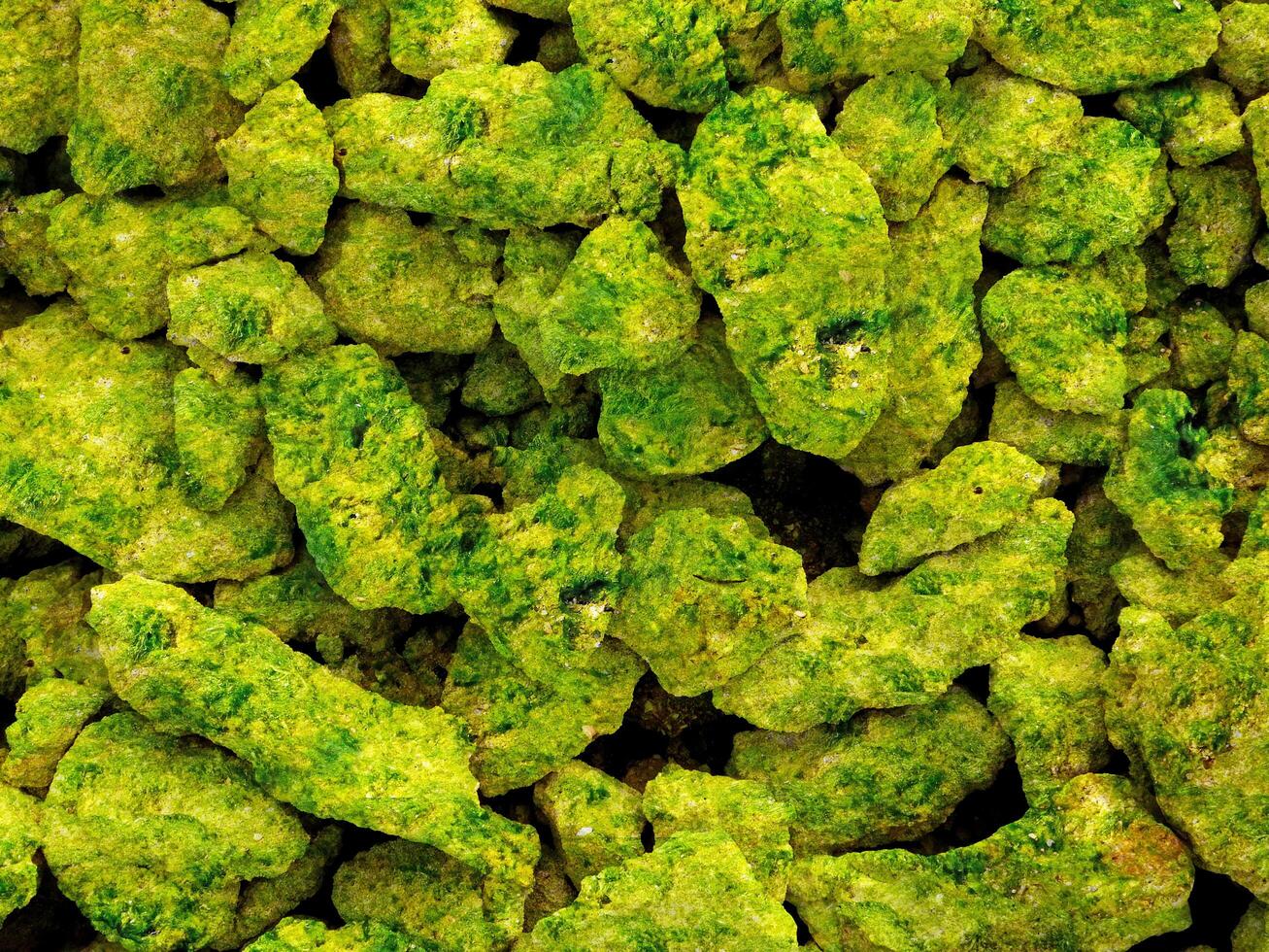 Green Stone Texture photo