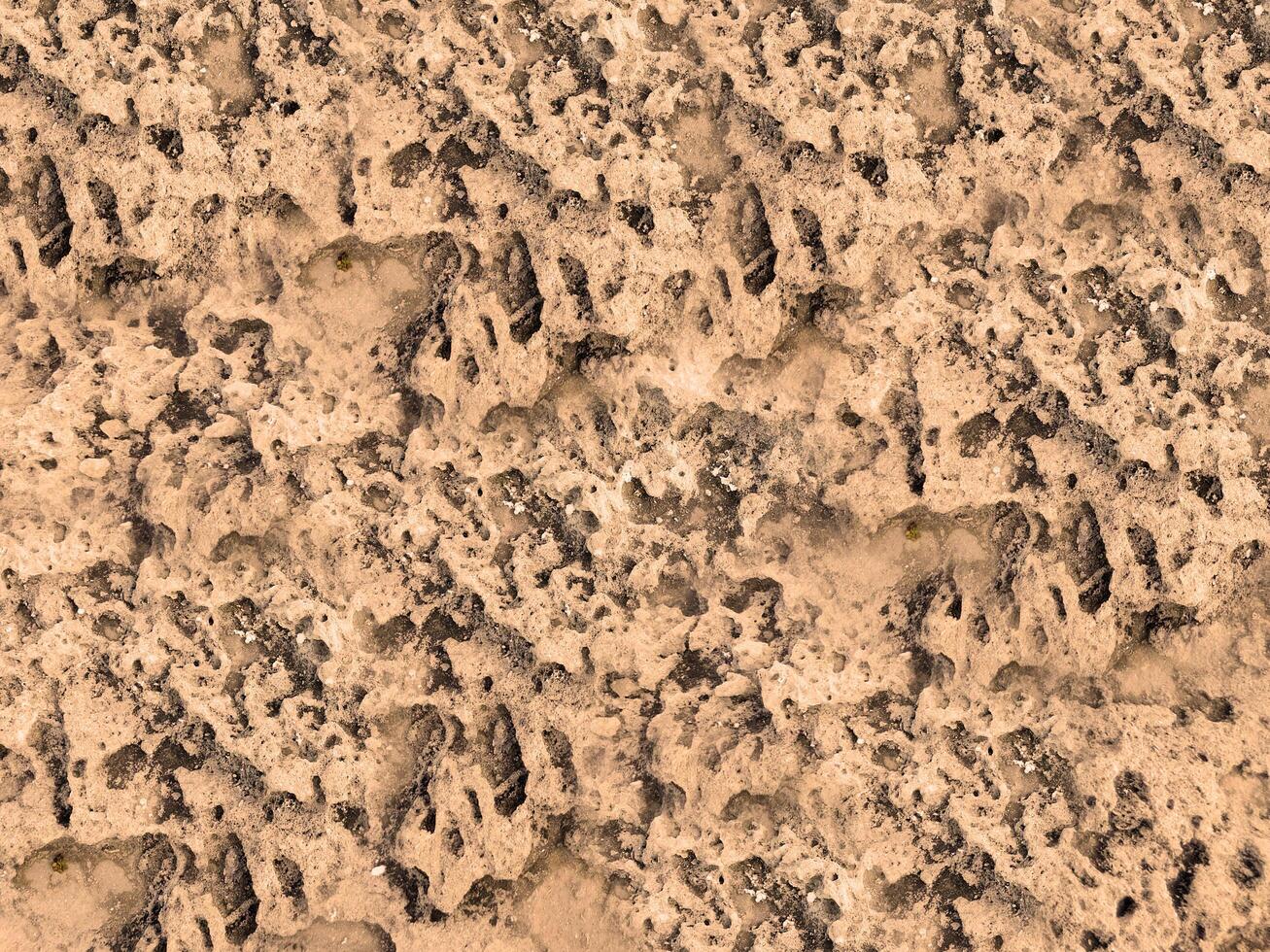 outdoor stone texture photo
