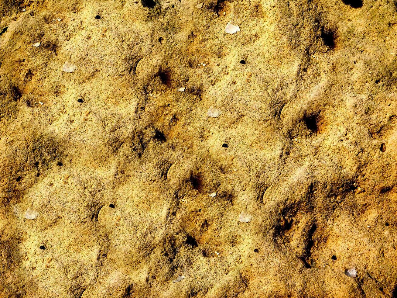 Dark Stone Texture photo