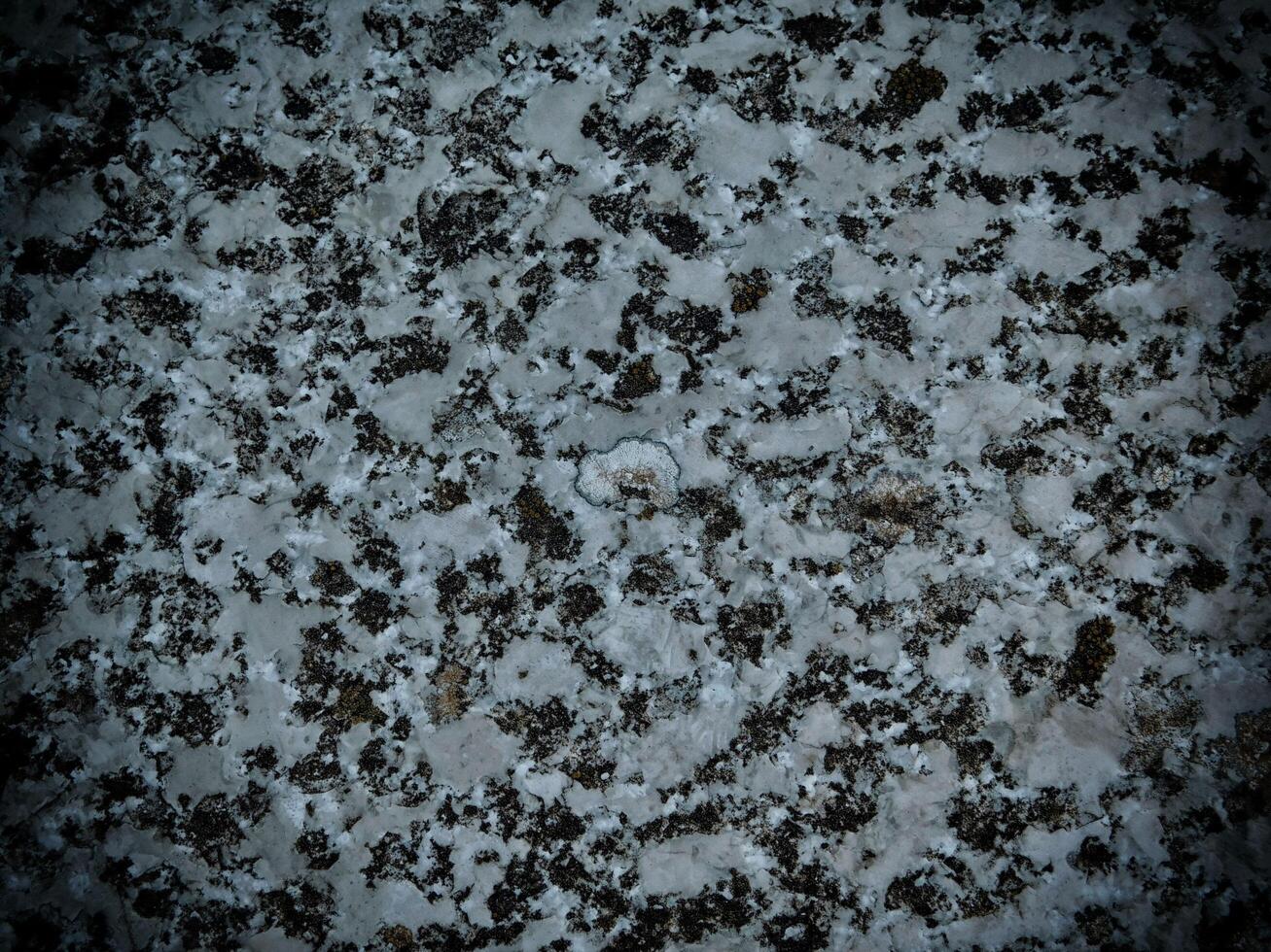 Dark Marble Texture In The Garden photo