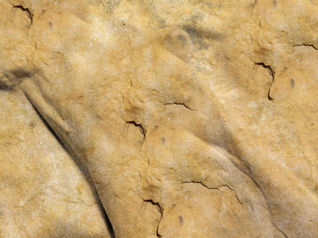 Marble Texture In The Garden photo