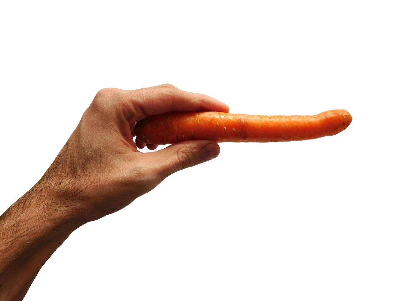 Carrots on hand photo