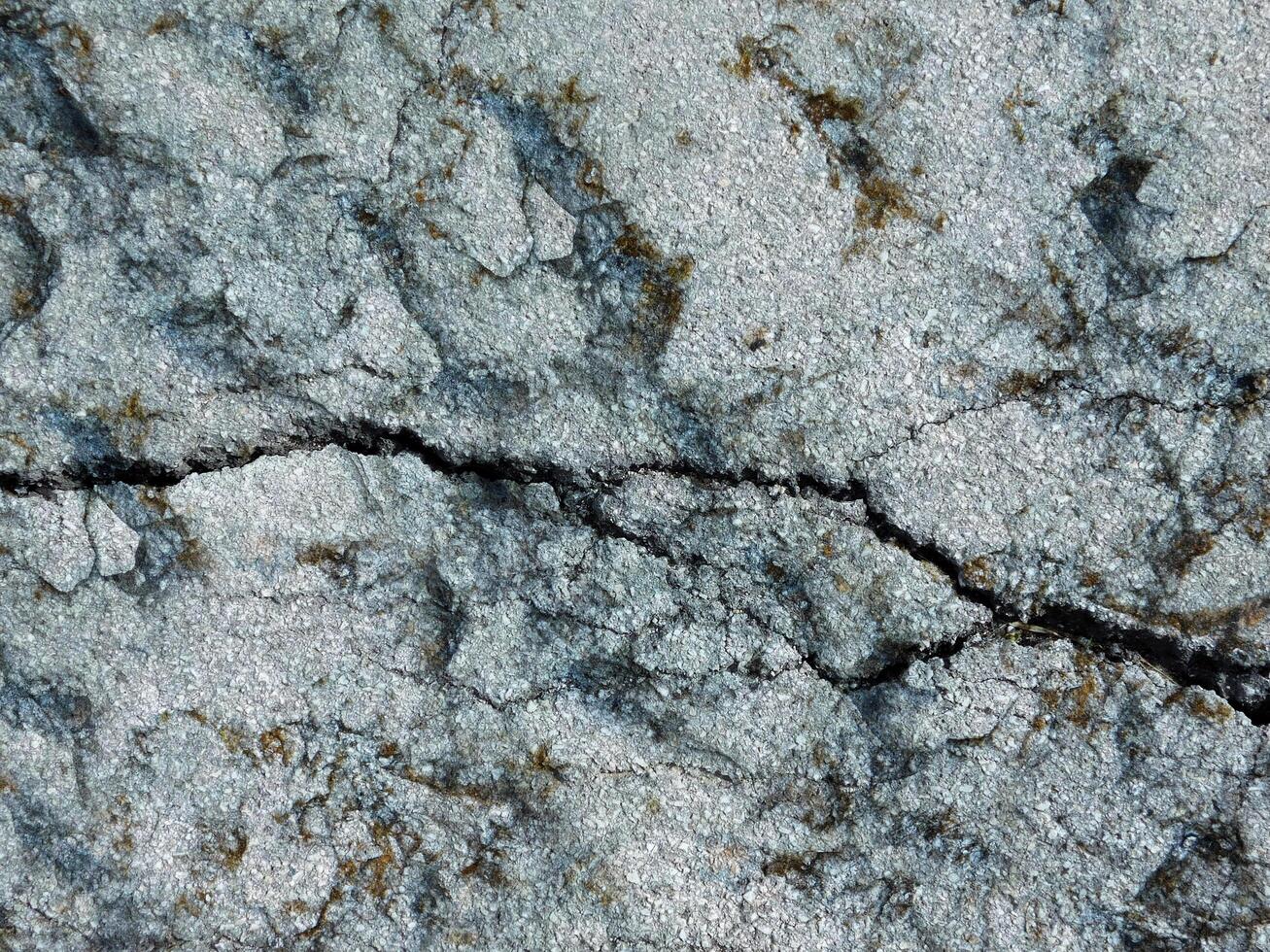 textura de piedra al aire libre en el jardín foto