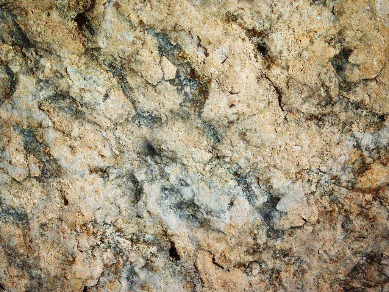 Stone Texture Outdoors In The Garden photo