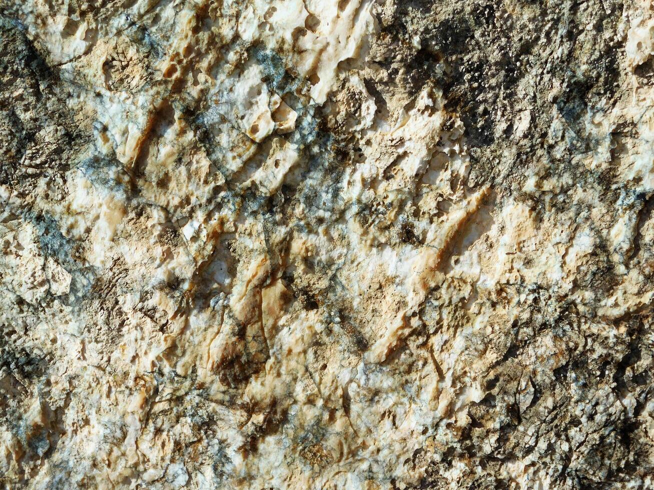 Stone Texture Outdoors In The Garden photo