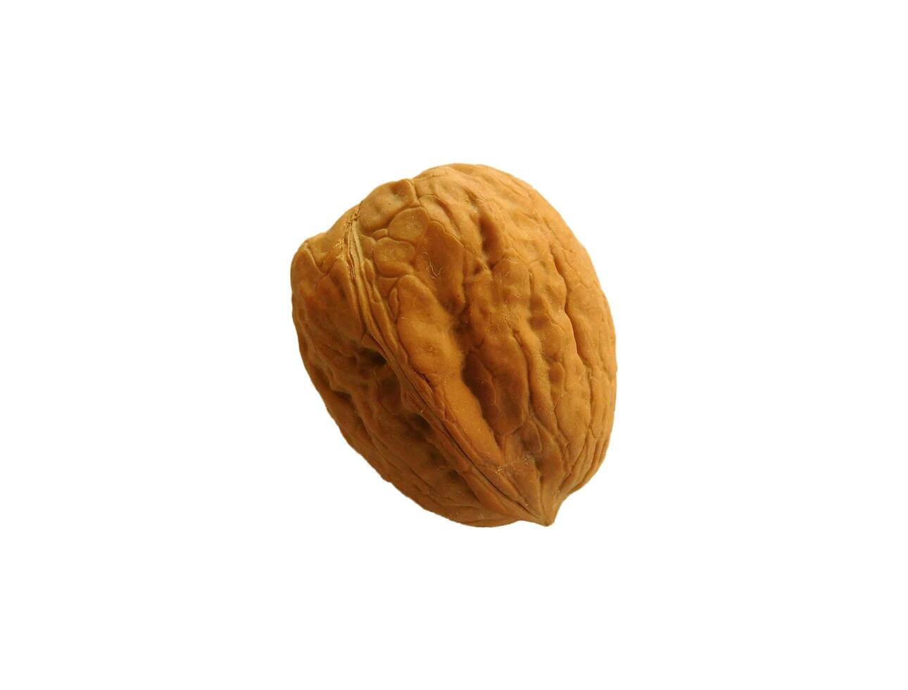 nuts on white background photo
