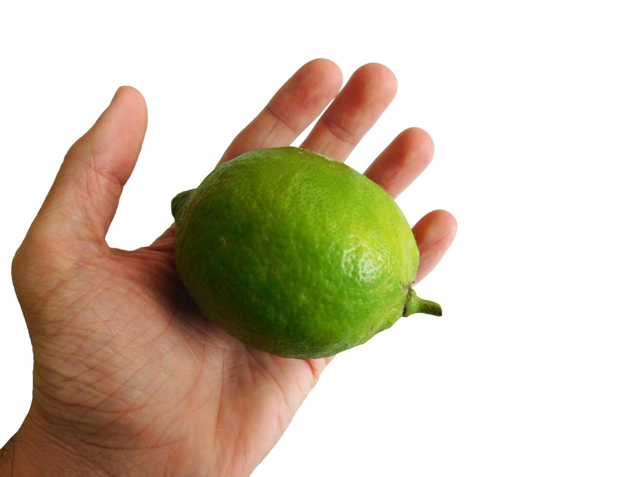 lemons on hand photo
