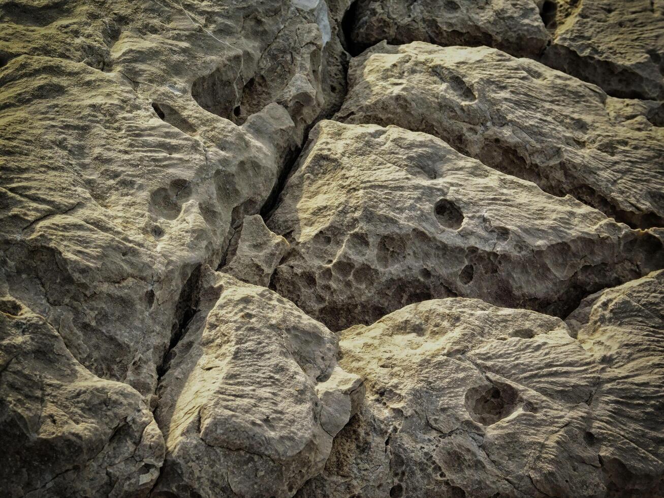 Dark Stone Texture In The Garden photo