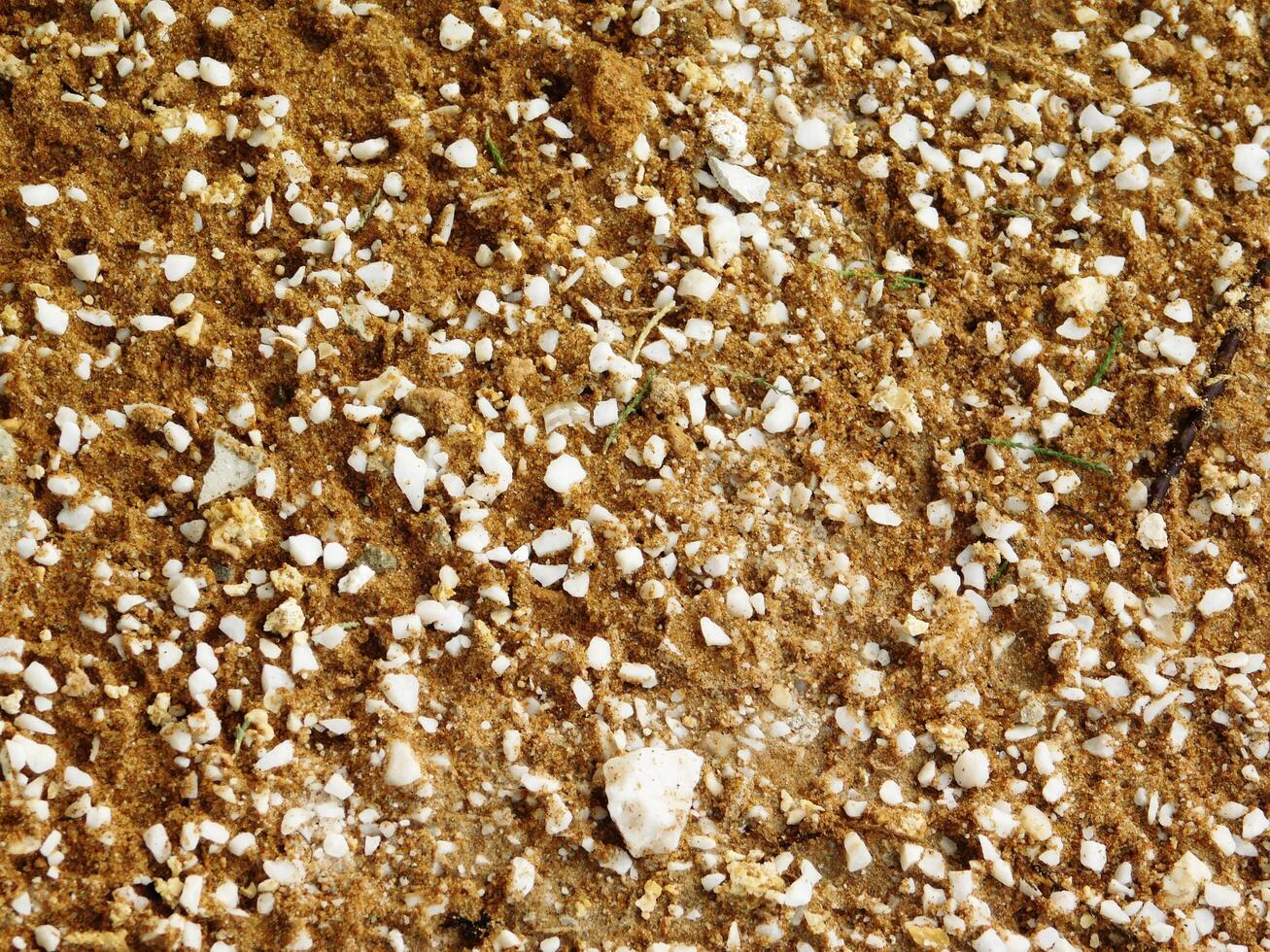 Ground texture outdoor photo