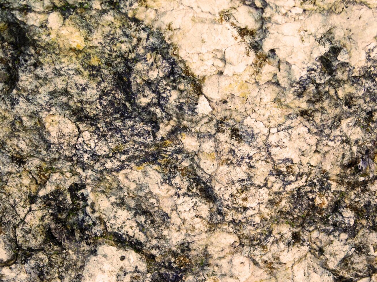 Outdoor stone texture photo