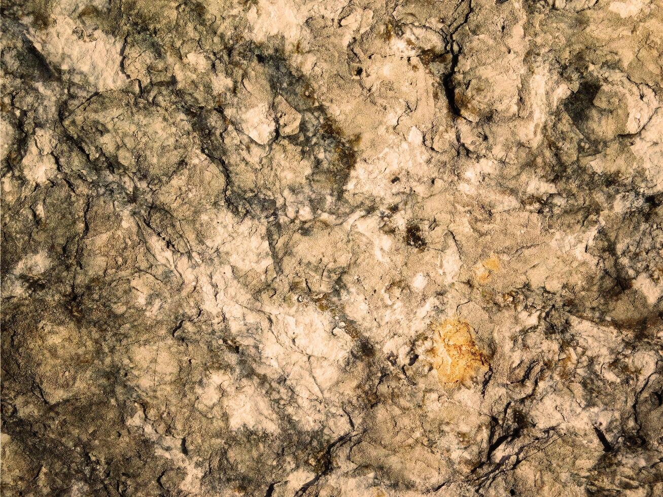 Outdoor stone texture photo