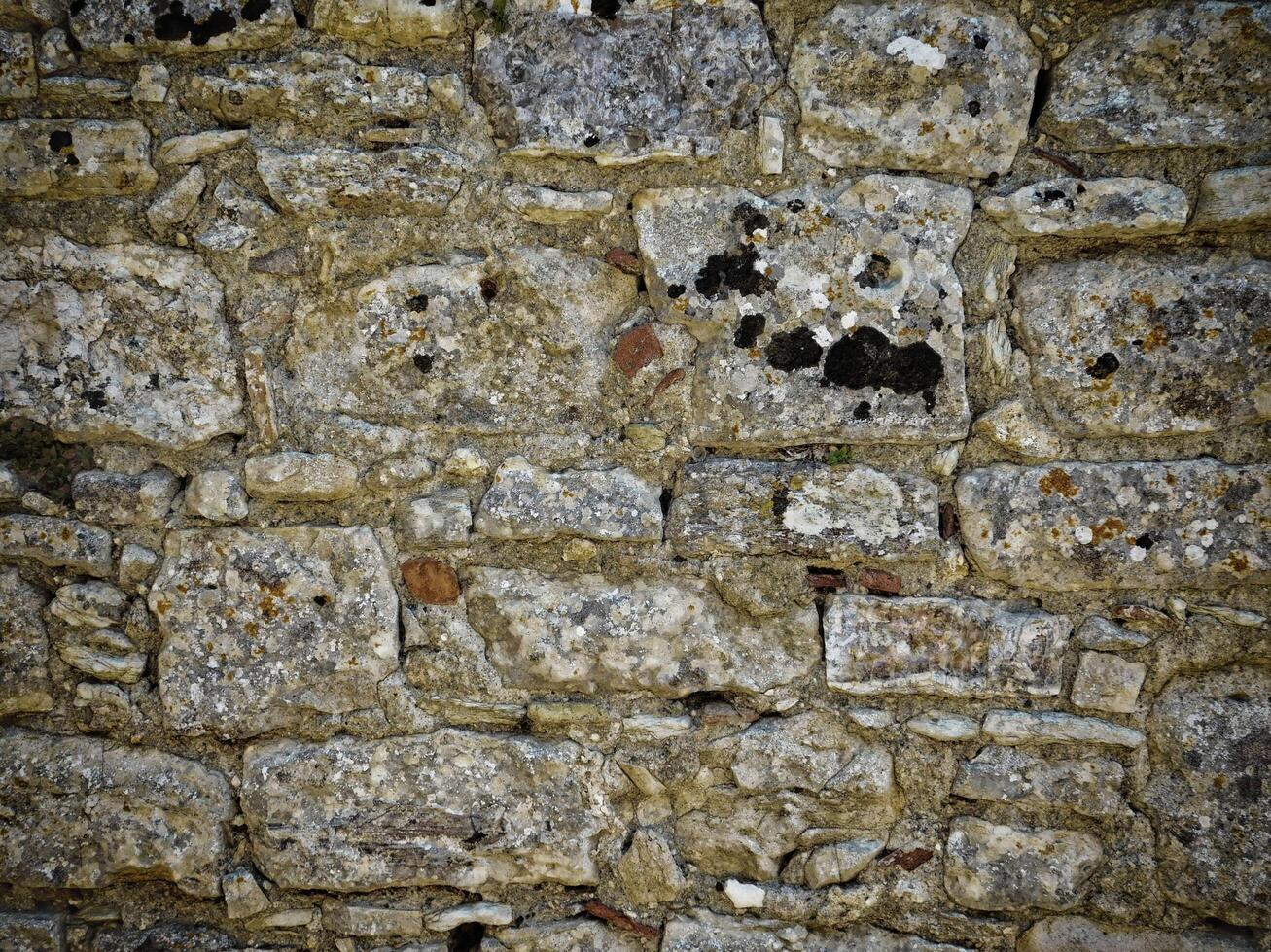 Dark Stone Texture In The Garden photo