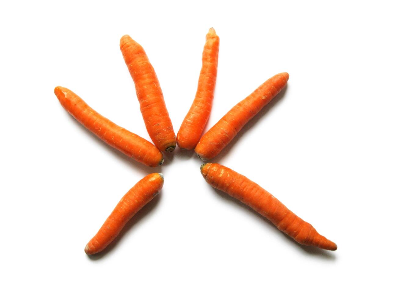 Carrots on White background photo