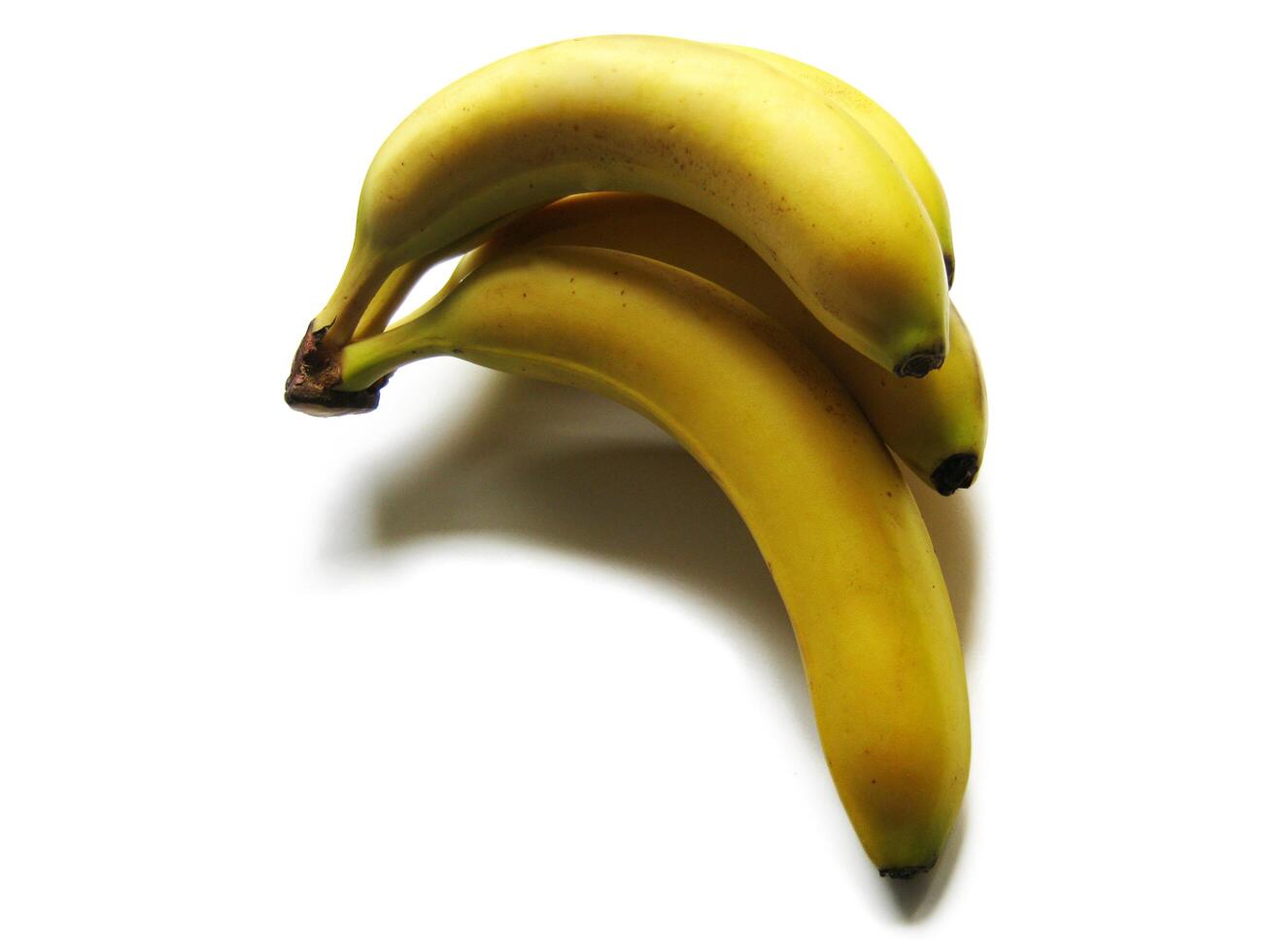 Bananas on white background photo