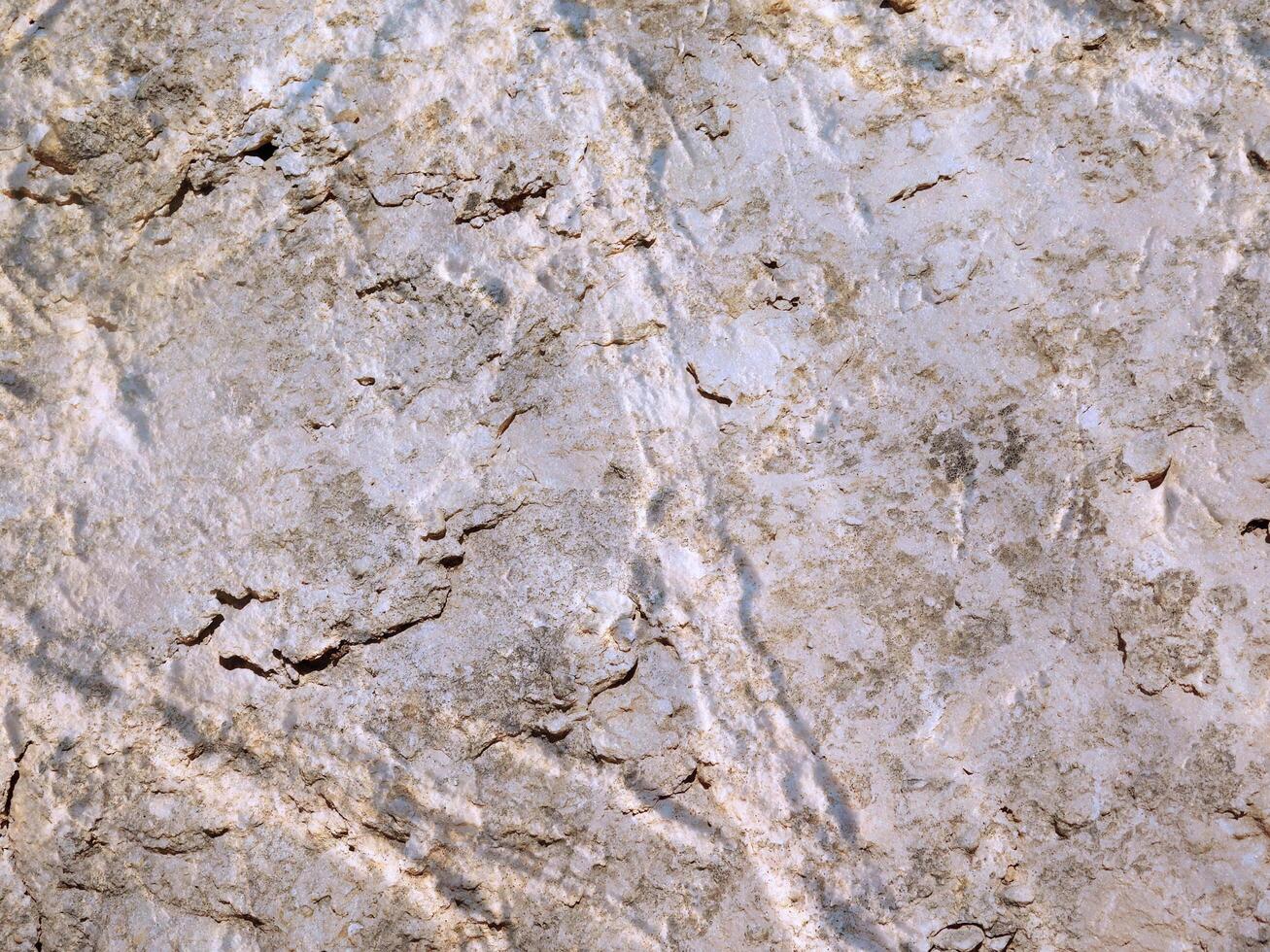 Outdoor stone texture photo