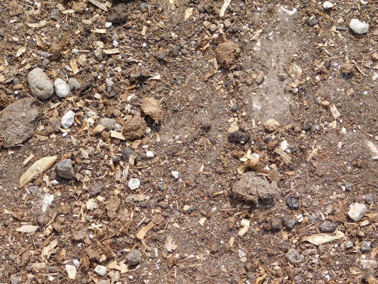 Outdoor brown earth texture photo