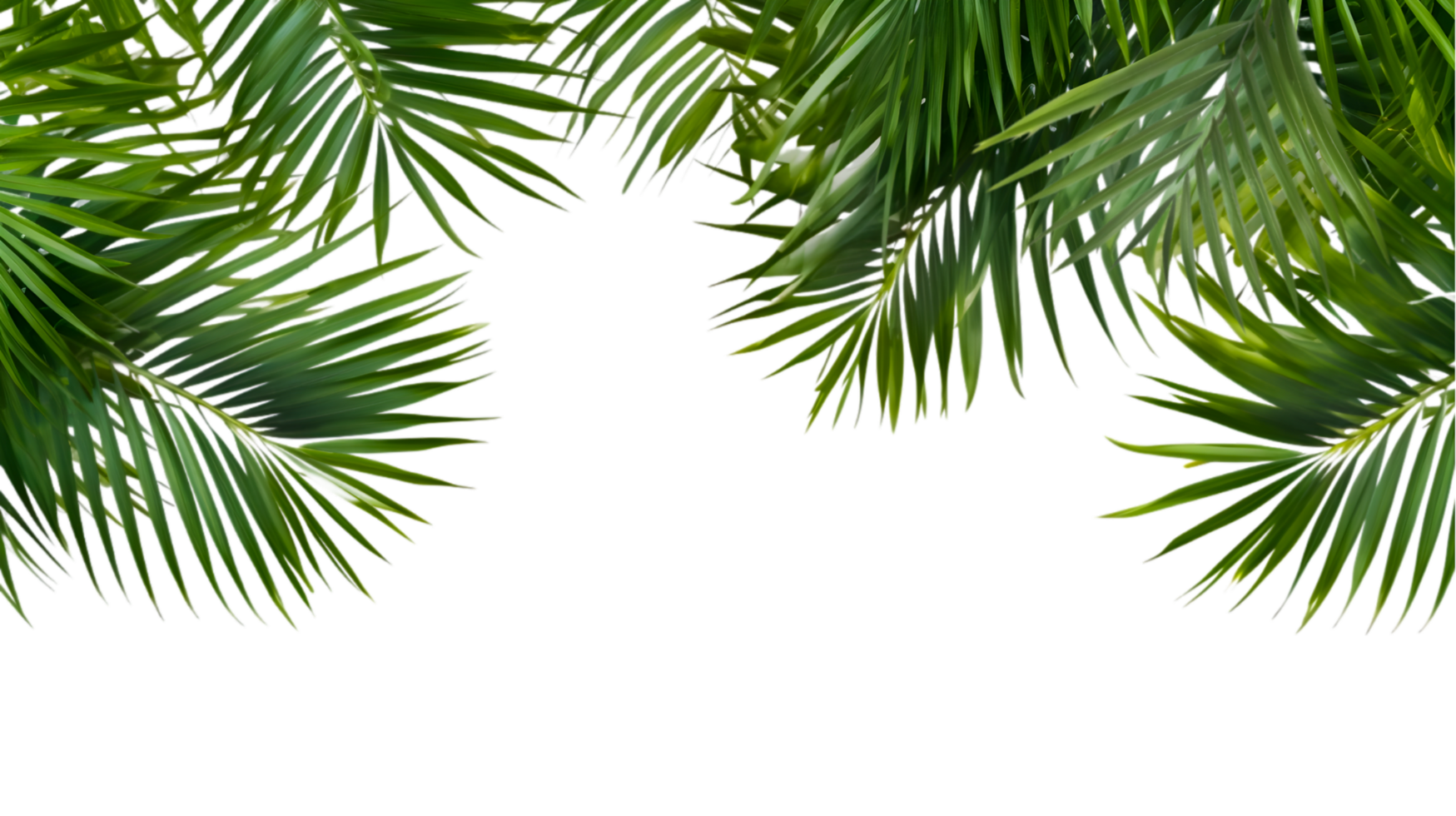 AI generated palm leaves on transparent background png
