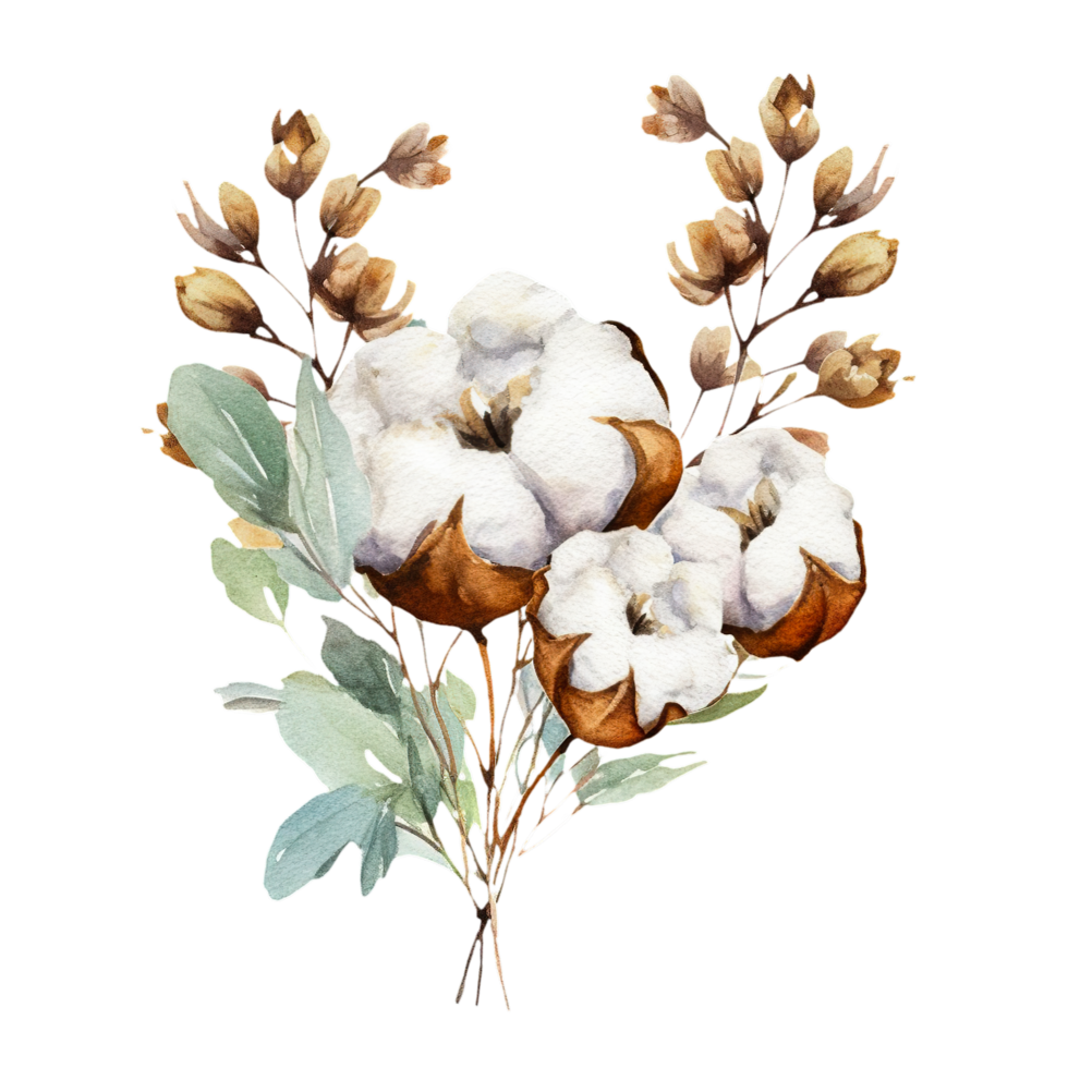 AI generated watercolor cotton flowers and leaves on a transparent background png