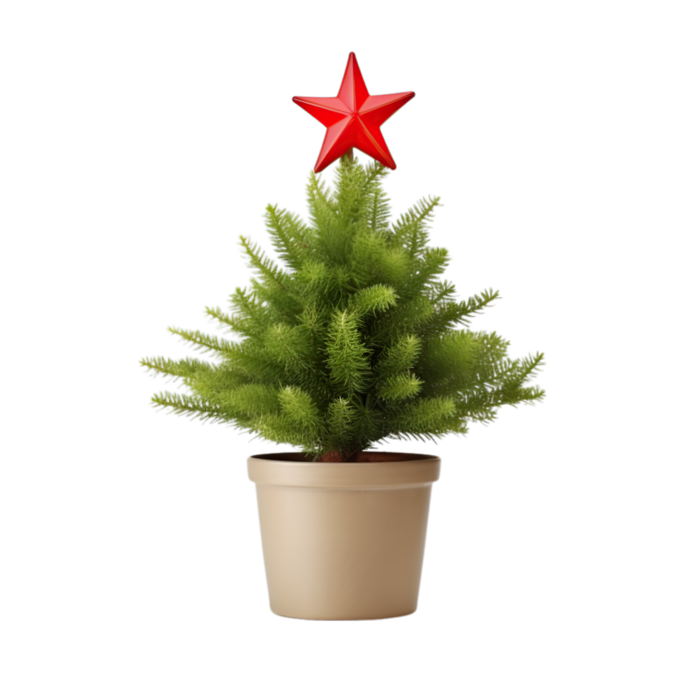 AI generated christmas tree in pot on transparent background png
