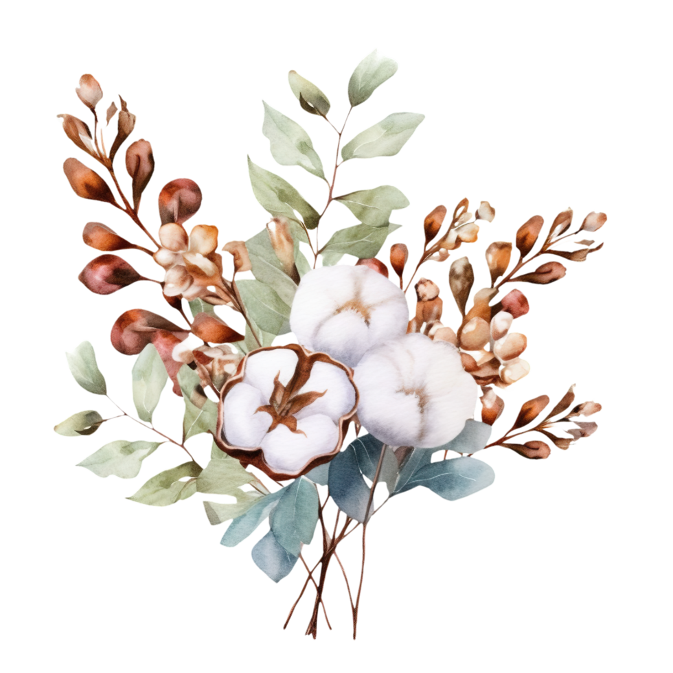 AI generated watercolor cotton flowers and leaves on transparent background png