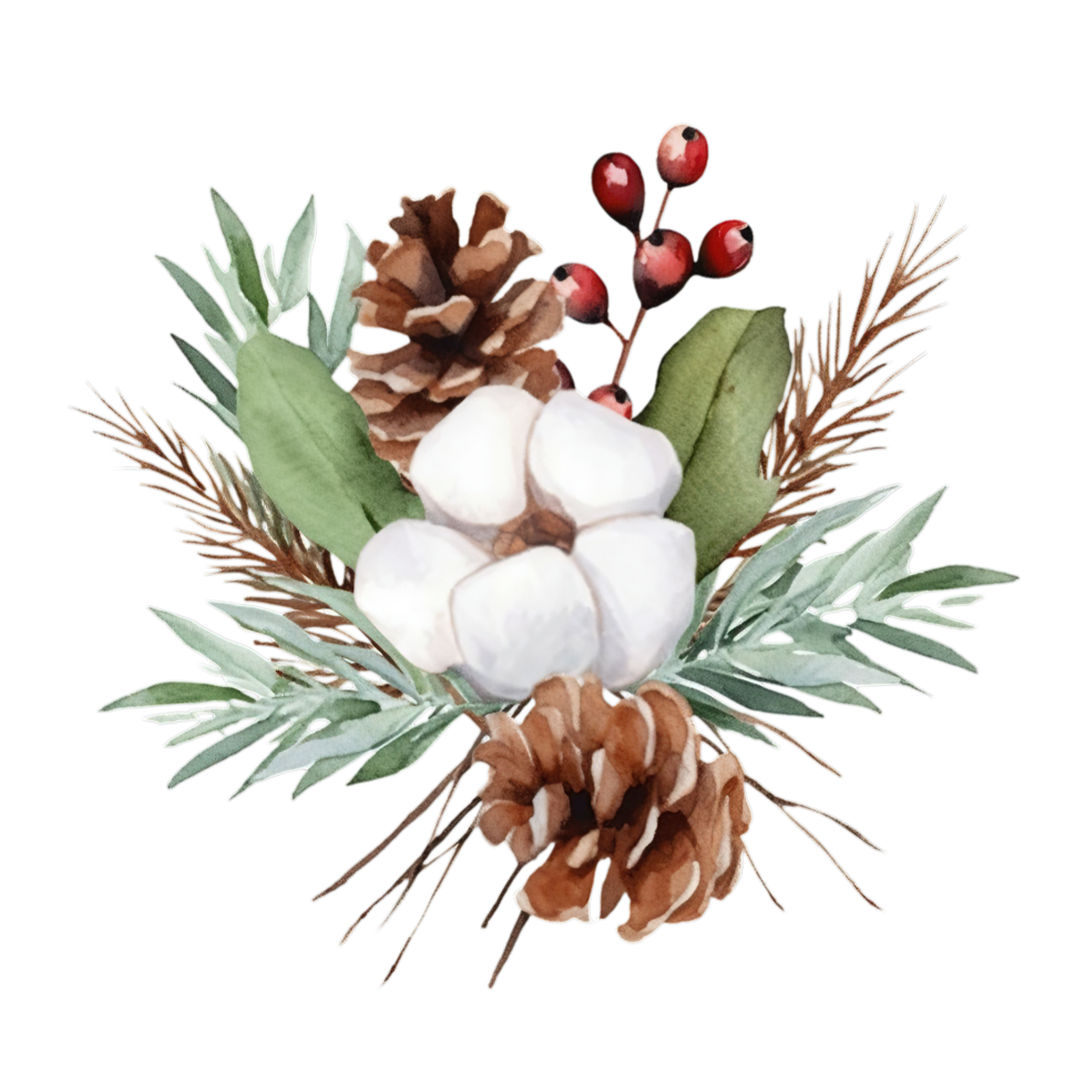 AI generated watercolor cotton flowers and pine cones on a transparent background png