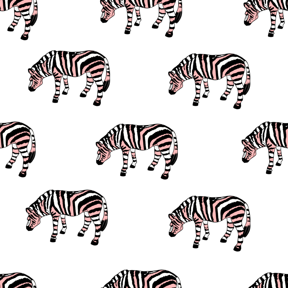 Zebra Muster. Textur von Streifen. Tier Muster png