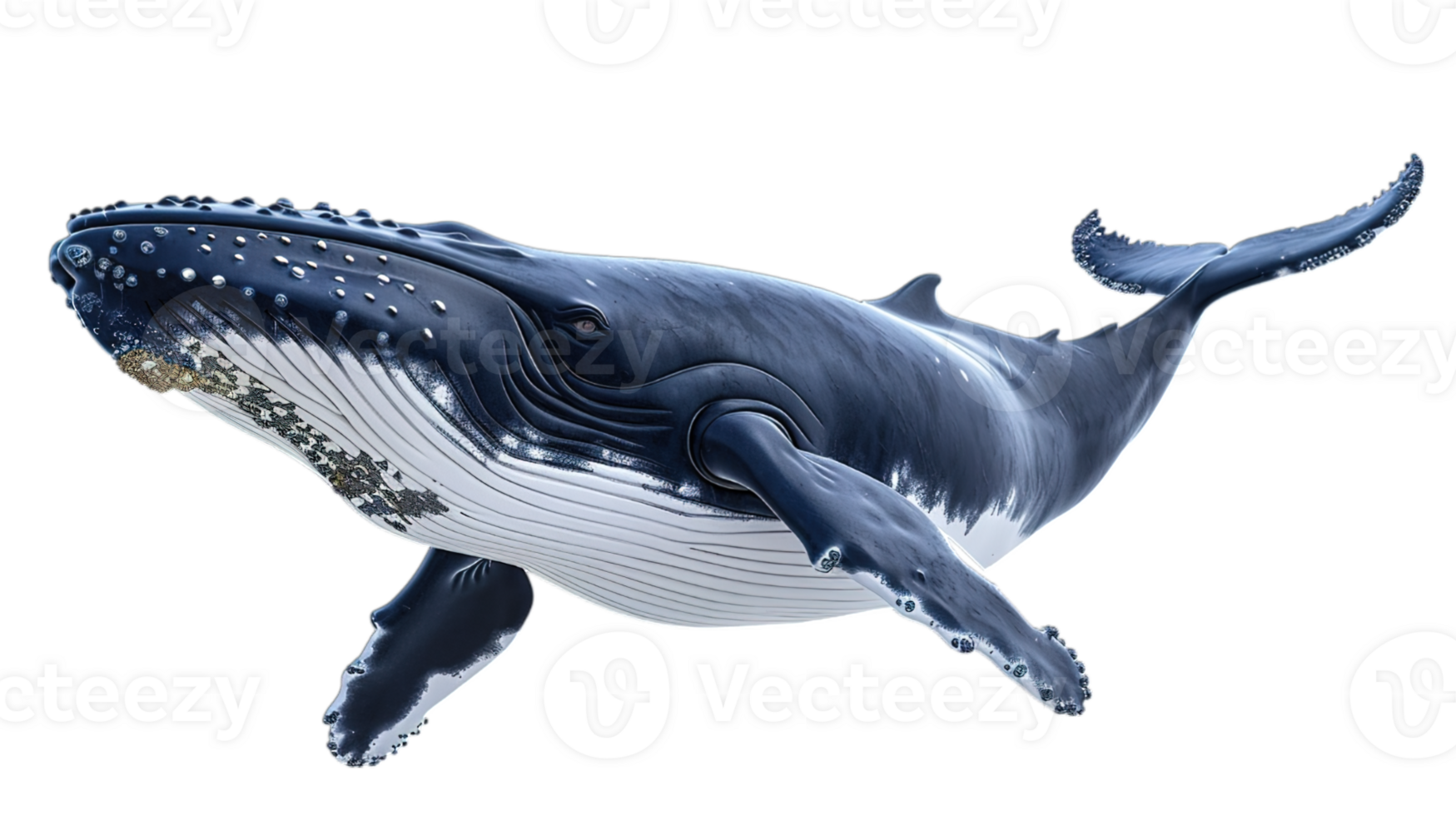 AI generated a humpback whale caught in motion, embodying the spirit of marine conservation, isolated on transparent background png