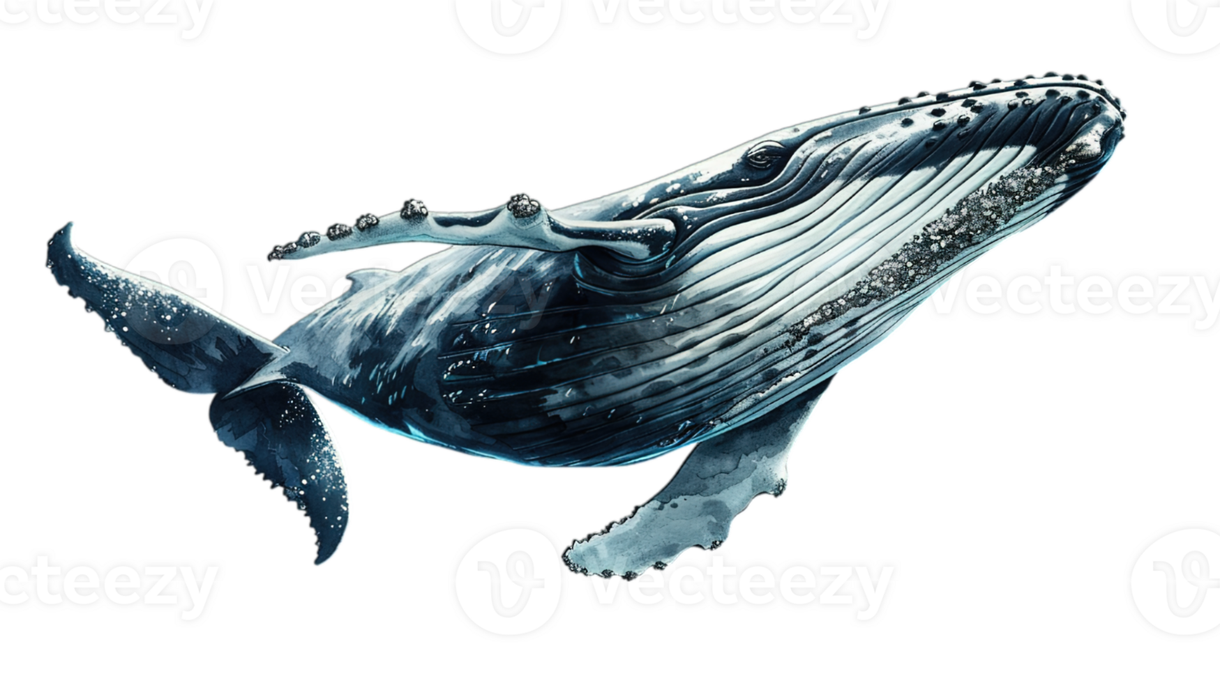 AI generated a humpback whale caught in motion, embodying the spirit of marine conservation, isolated on transparent background png