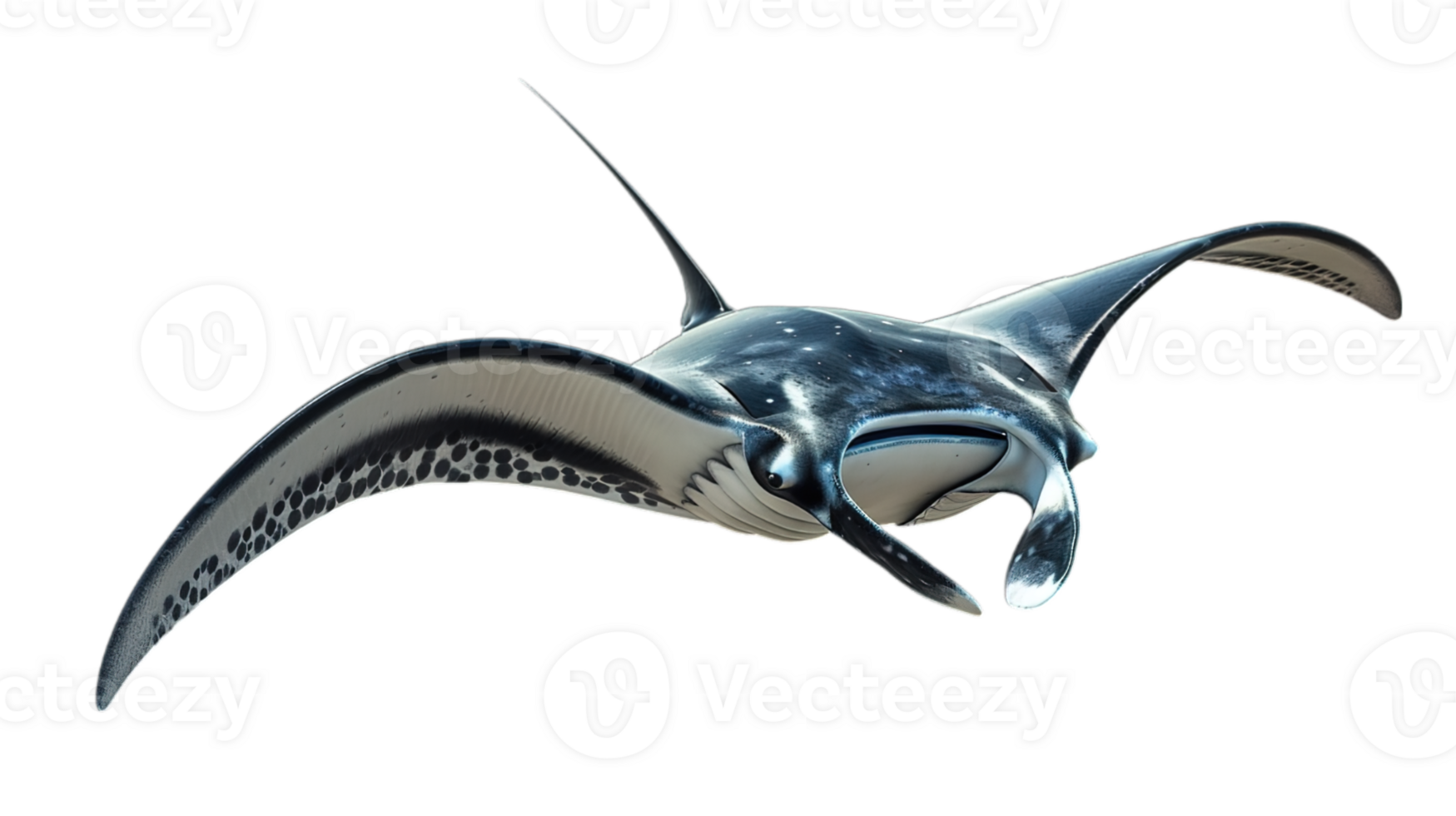 AI generated gentle giant manta ray, floating in deep blue, isolated on transparent background png