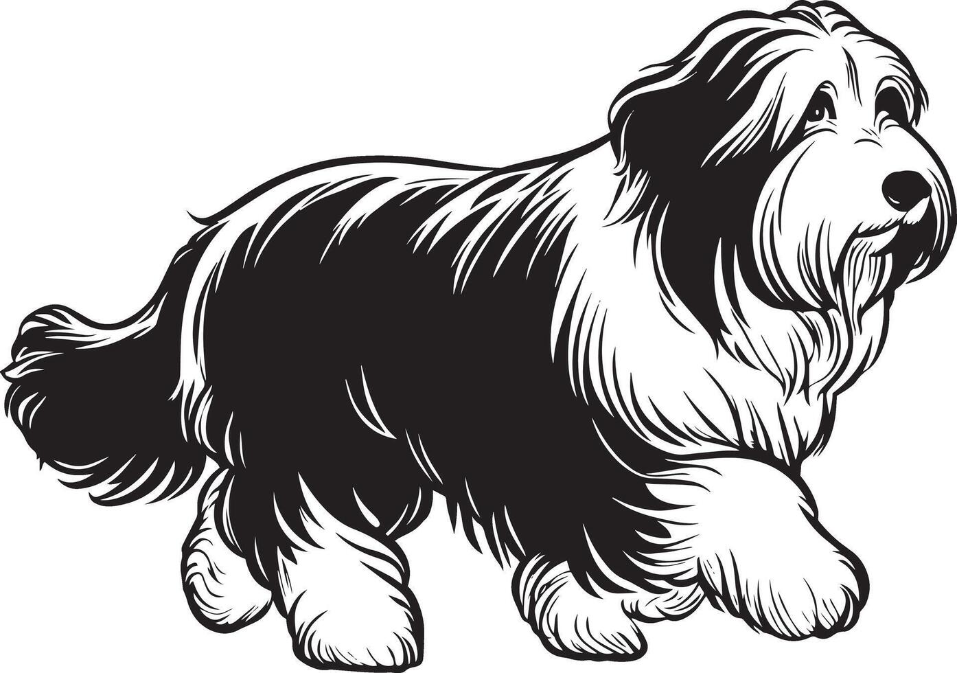 Black and White Vector Illustration of a Bearded Collie Dog