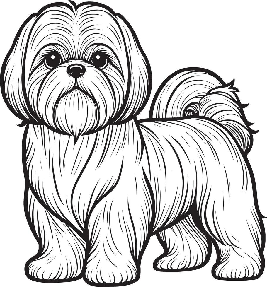 Black and White Vector Illustration of a Cute Shih Tzu Dog Standing