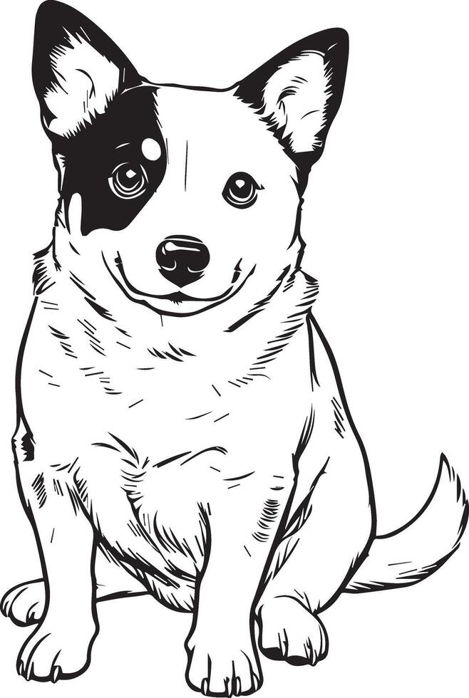 Black and White Vector Illustration of an Australian Cattle Dog Puppy