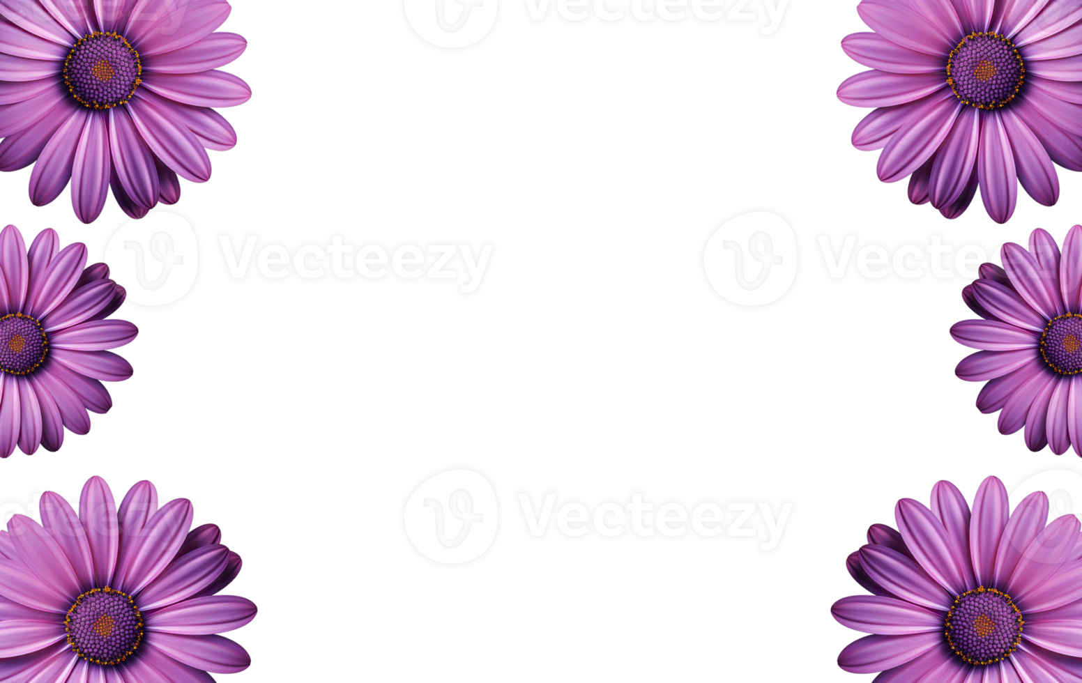 AI generated Flower frame borders, floral decoration, transparent background, Flat lay, top view png