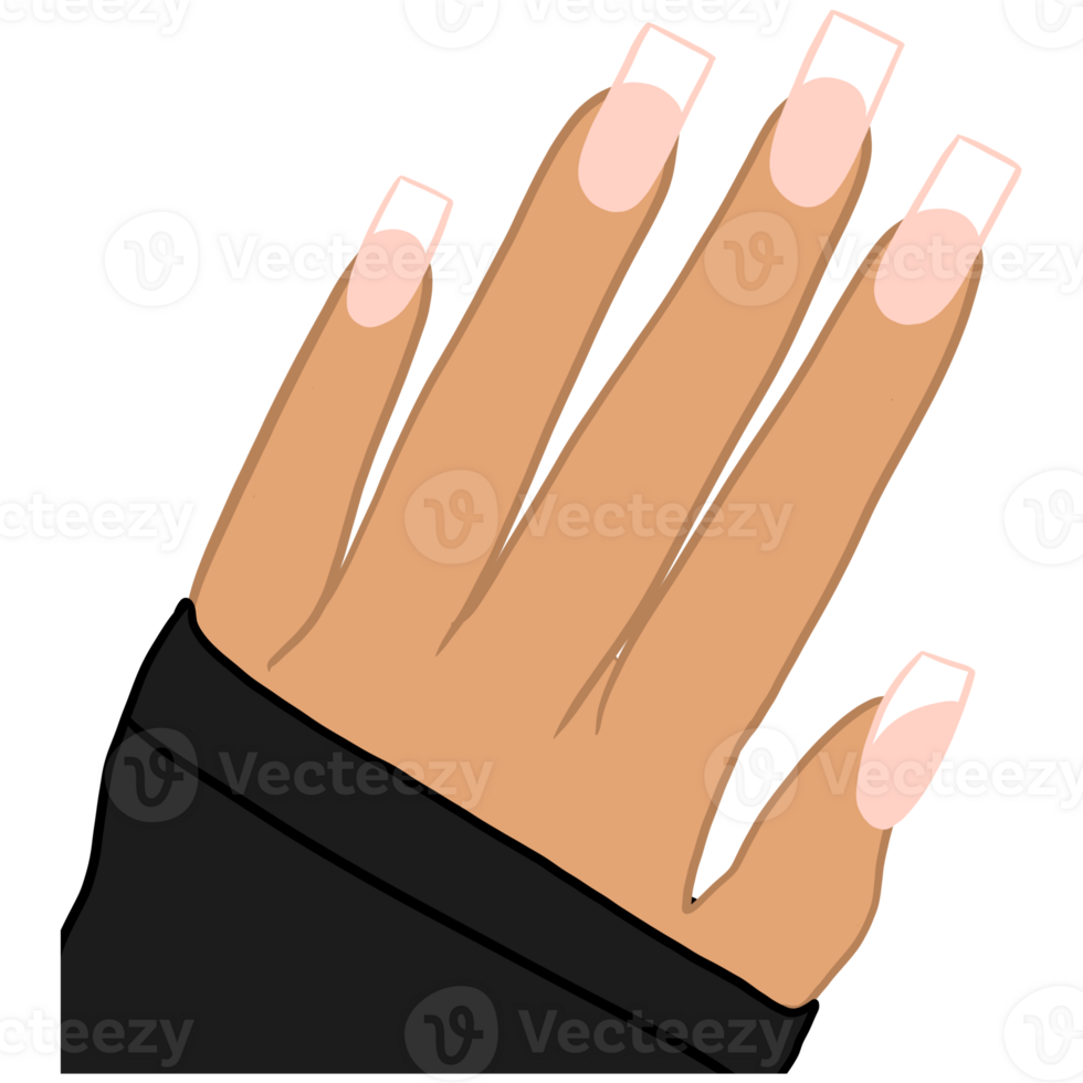 Beautiful Hand With Feminine Manicure png