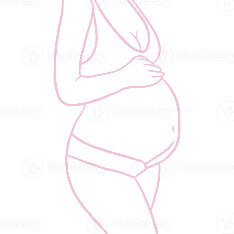 Woman's Belly with Pregnancy Line Art png