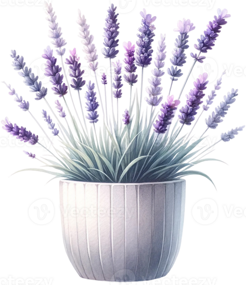 AI generated Watercolor Lavender in Rustic Pot Clipart png