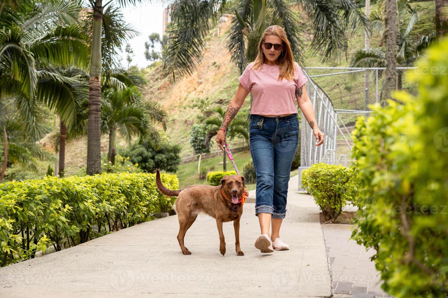 Woman walking her dog in the natural parkland, wearing casual attire with jeans and a pink shirt. photo