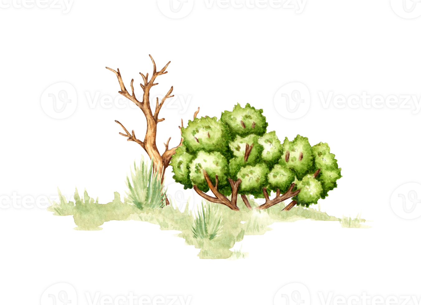 aquarelle illustration de Naturel paysage élément. faune forêt scène avec vert herbe, sec arbre et buisson. pour conception compositions sur thème de boisé domaines, tourisme, voyage, Extérieur des loisirs. png