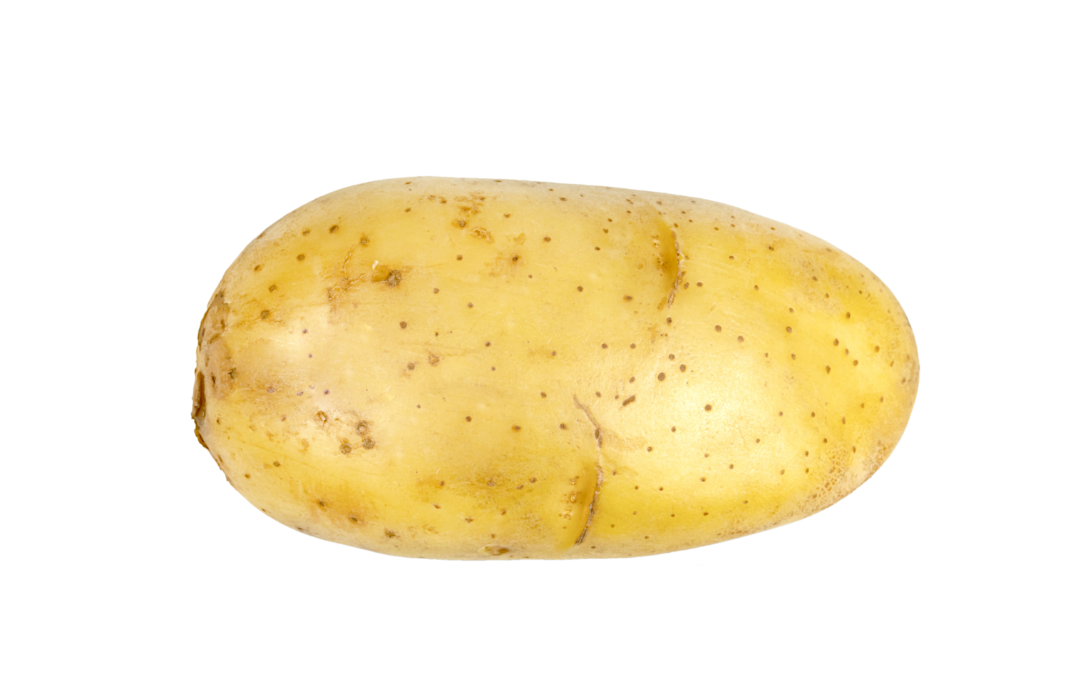 cru batatas isolado png