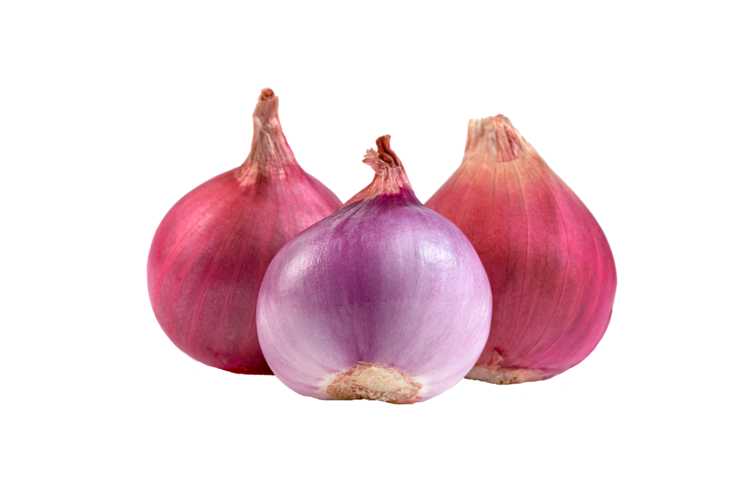 shallots onion chopped isolated png