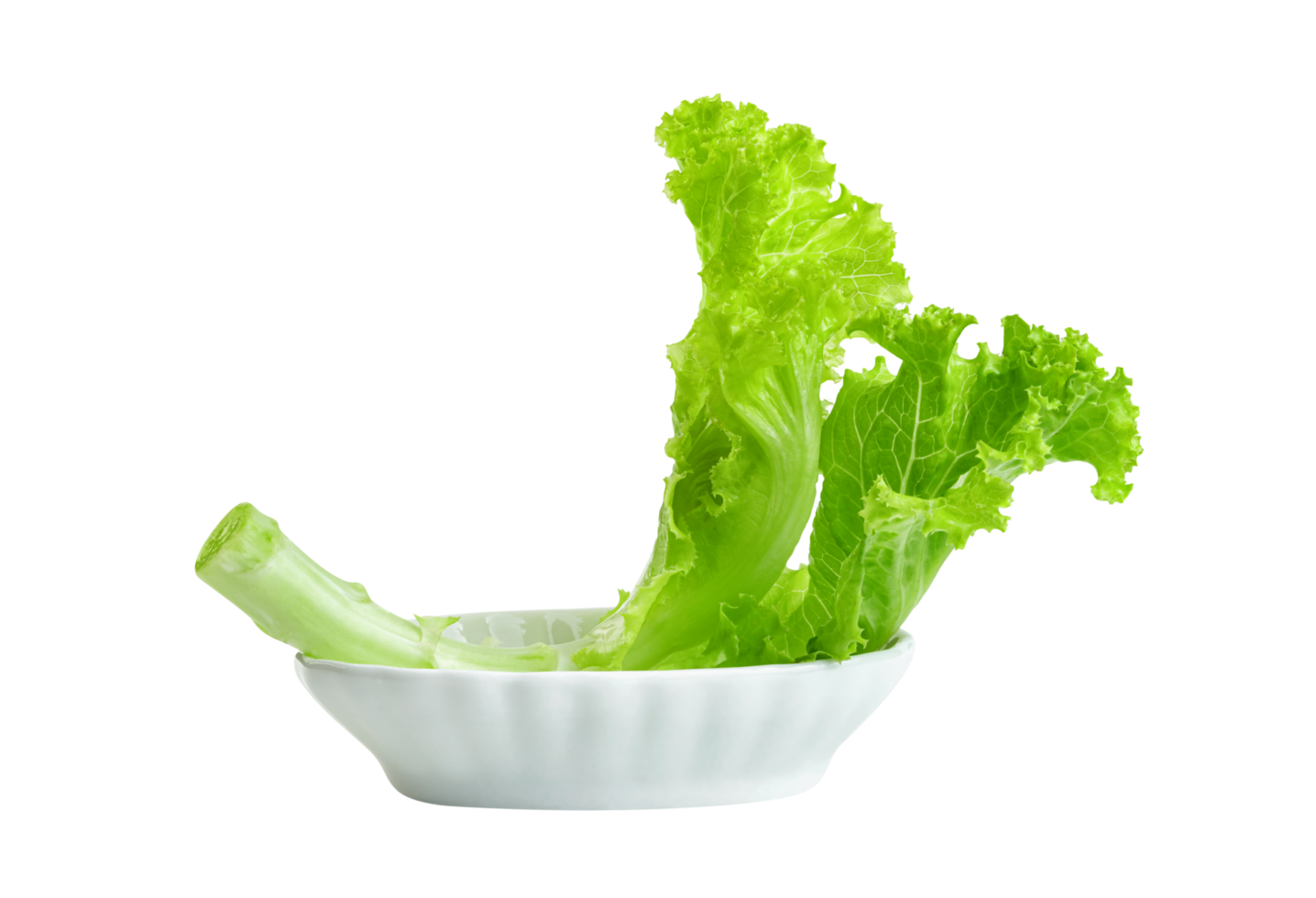 Lettuce leaf with bowl isolated,Green leaves pattern ,Salad ingredient png