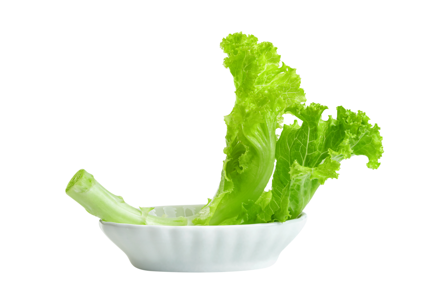 salade feuille avec bol isolé, vert feuilles modèle ,salade ingrédient png