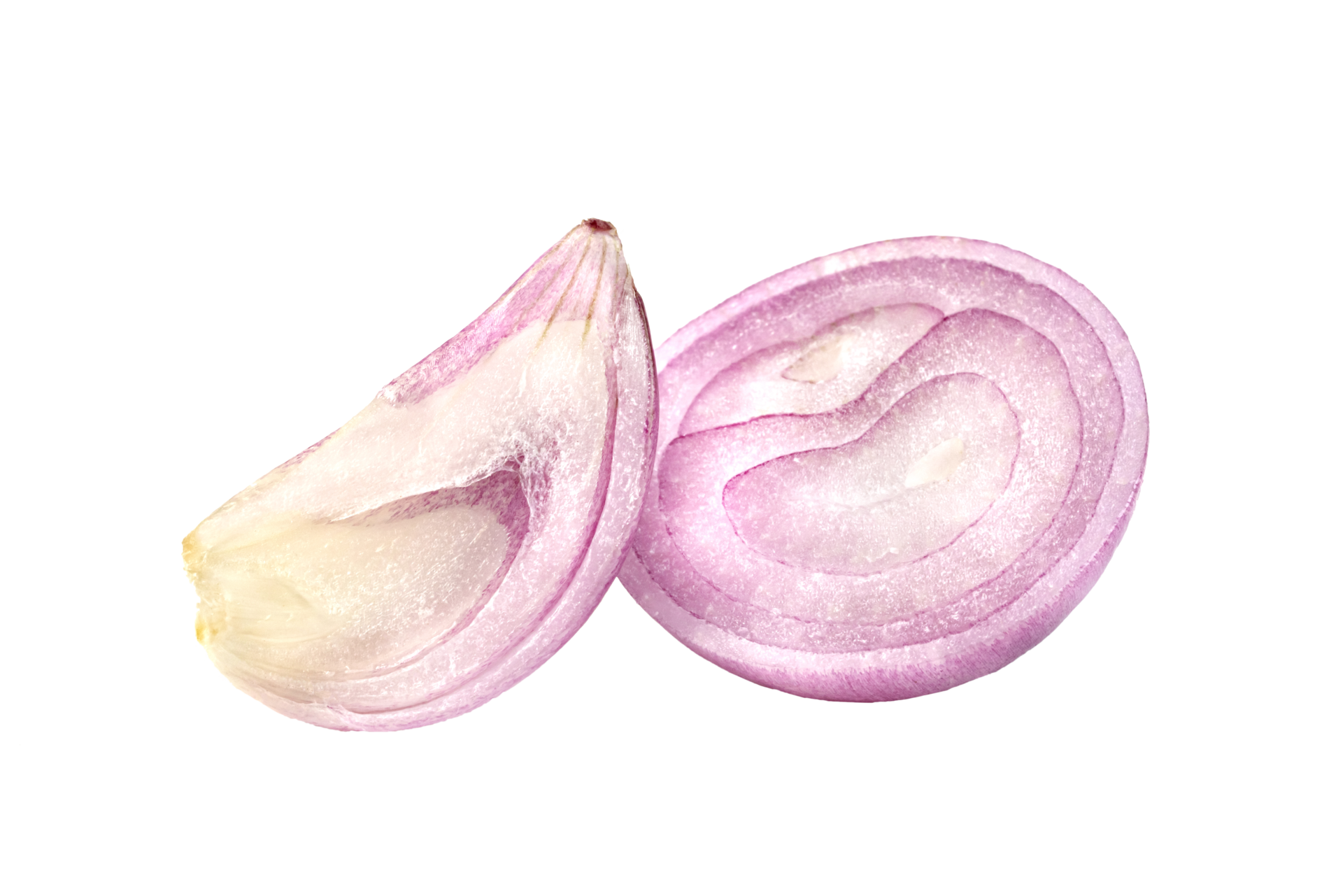 shallots onion chopped isolated 42538707 PNG