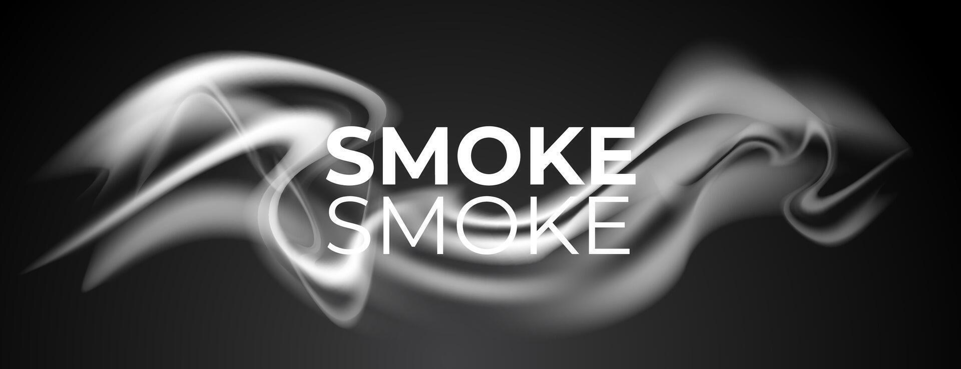 horizontal black and white smoke banner background.vector illustration vector