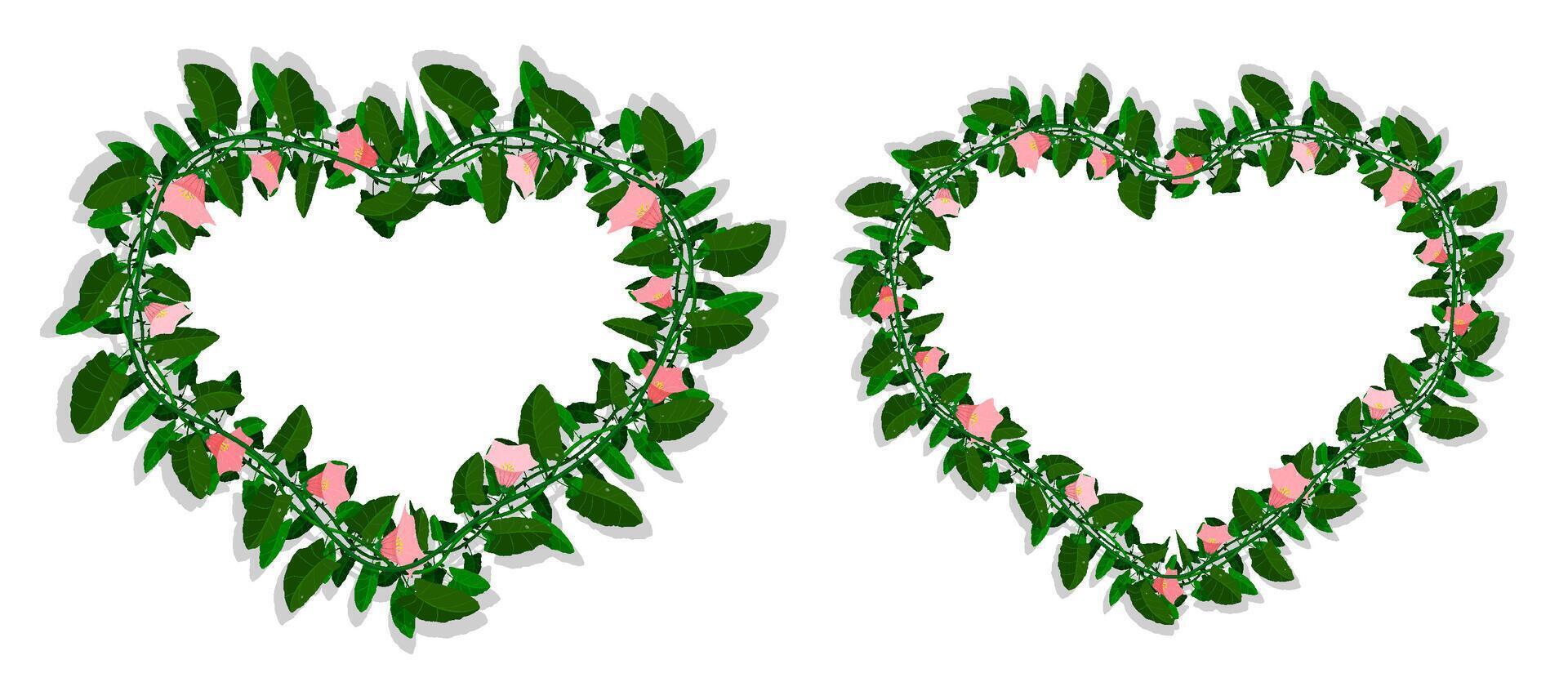 Green liana blooming with pink flowers in shape of heart for decorating of Valentine Day frames, invitation cards. Isolated vector on white background