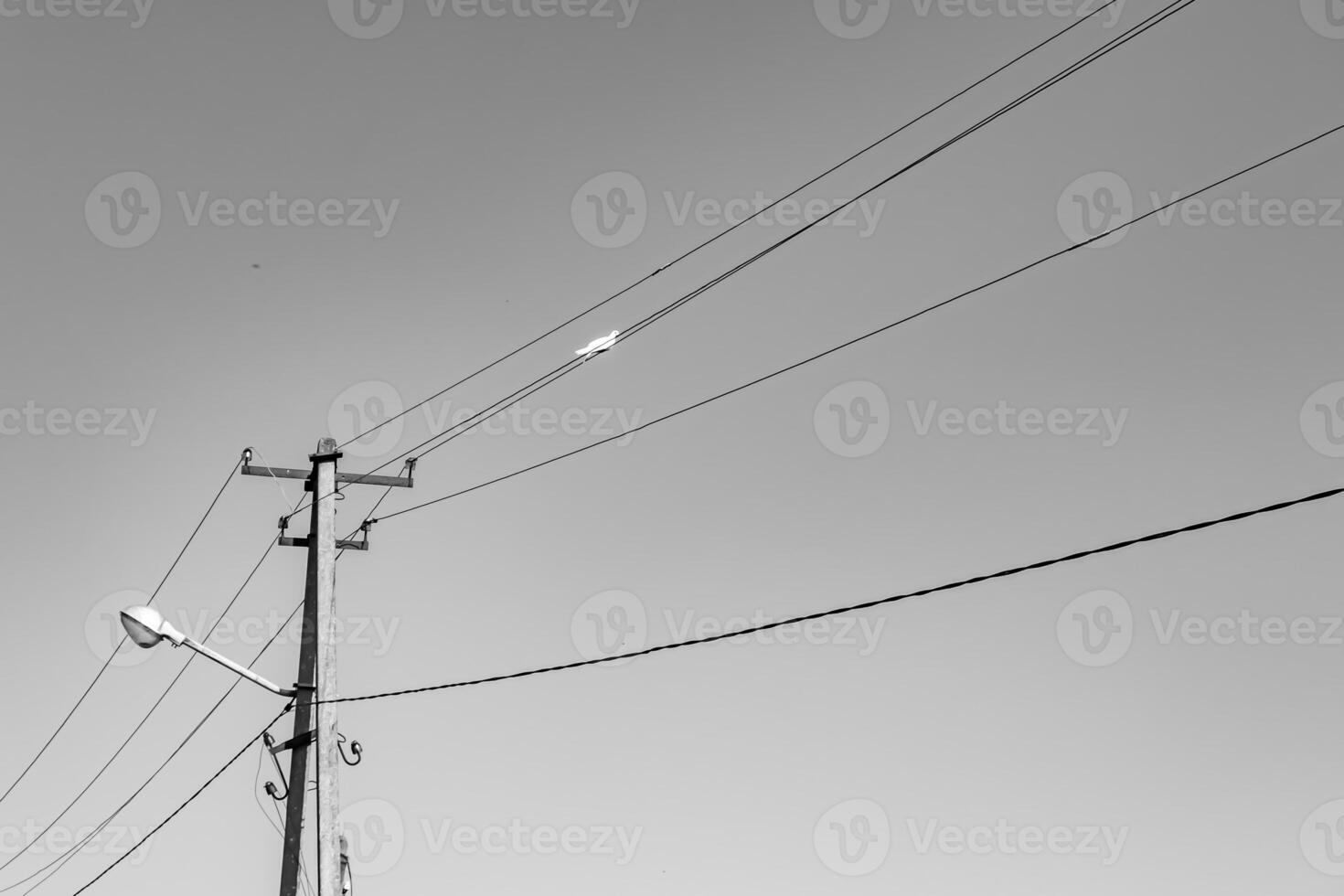 Power electric pole with line wire on light background close up photo