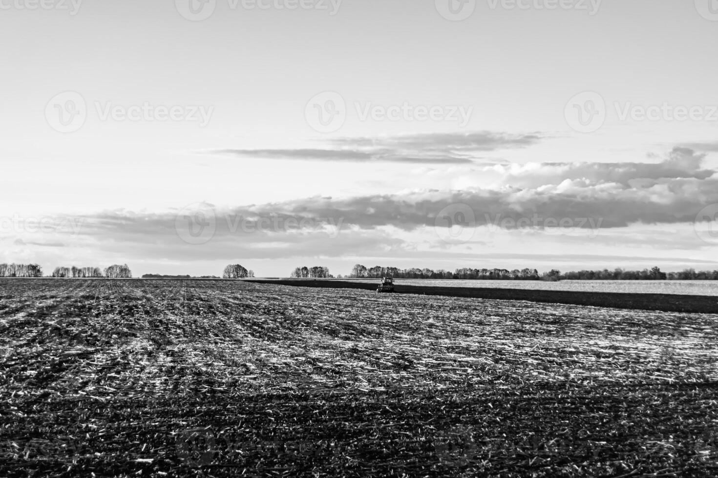 Photography on theme big empty farm field for organic harvest photo