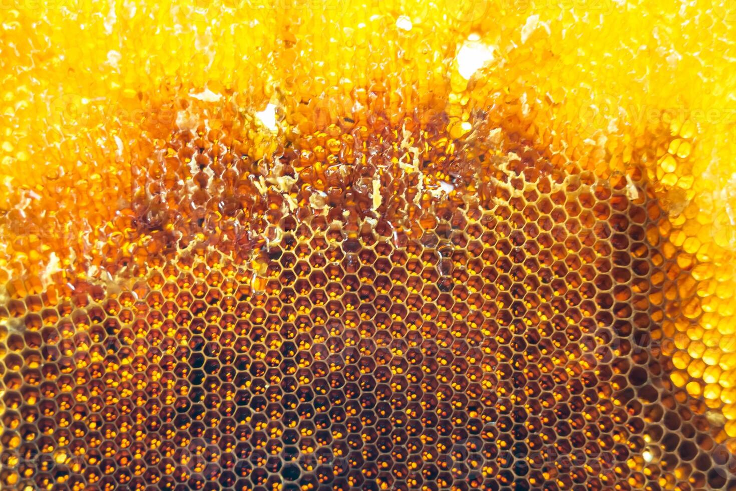 Drop of bee honey drip from hexagonal honeycombs filled with golden nectar photo