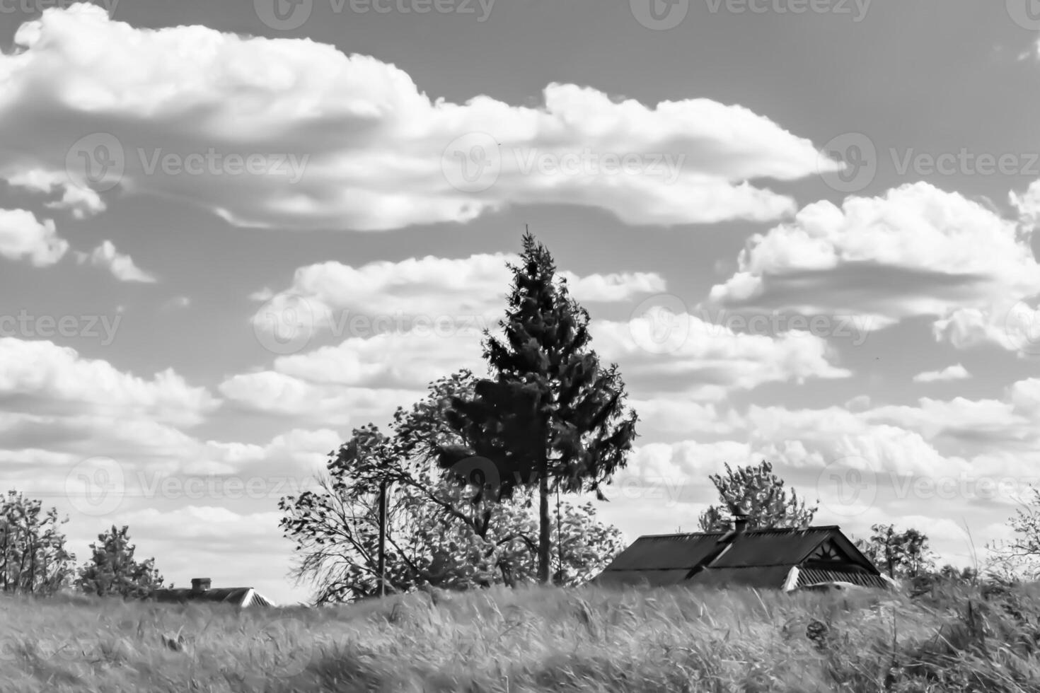 Beautiful old abandoned building farm house in countryside on natural background photo