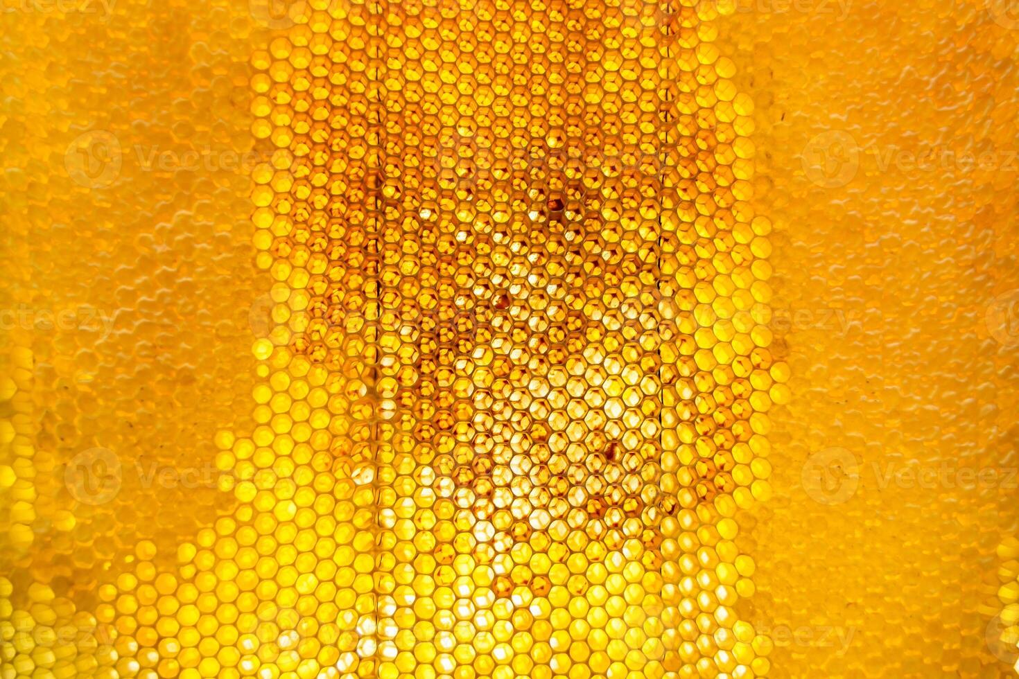 Drop of bee honey drip from hexagonal honeycombs filled with golden nectar photo